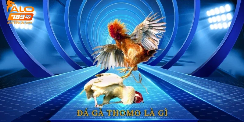 Khái niệm và nguồn gốc đá gà thomo