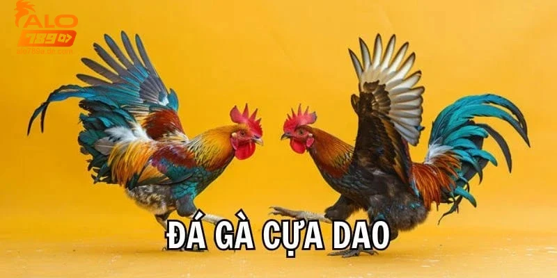 Khái niệm và lịch sử đá gà cựa dao