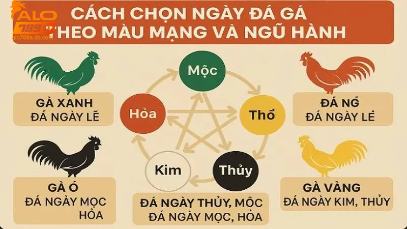 Ý nghĩa từng màu mạng trong gà đá