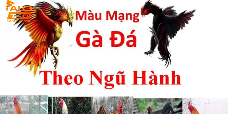 Lưu ý quan trọng khi sử dụng màu mạng gà đá trong cá cược